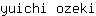 y***i