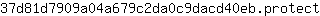 3***t