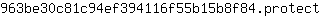 9***t