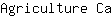 A***a