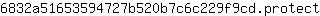 6***t