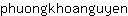 p***n