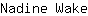 N***e