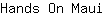 H***i