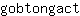 g***t