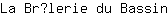L***n