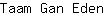 T***n