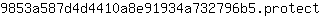9***t