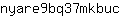 n***c