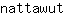 n***t