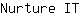 N***T