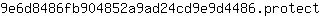 9***t