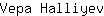 V***v