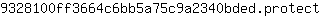 9***t