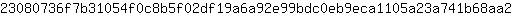 2***2