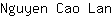 N***n