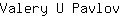 V***v