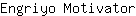 E***r