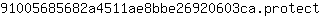 9***t