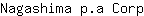 N***p