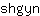 s***n