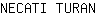 N***N