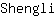 S***i