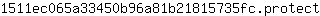 1***t