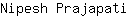 N***i