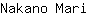 N***i