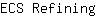 E***g