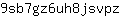 9***z