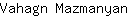 V***n