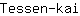 T***i