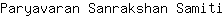 P***i