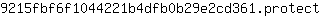 9***t