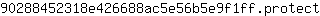9***t