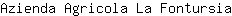 A***a