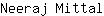 N***l