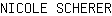 N***R