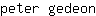 p***n