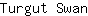 T***n