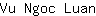 V***n