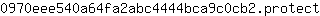 0***t