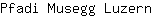 P***n