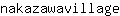 n***e