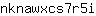 n***i