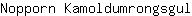 N***l