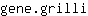 g***i
