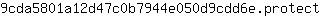 9***t